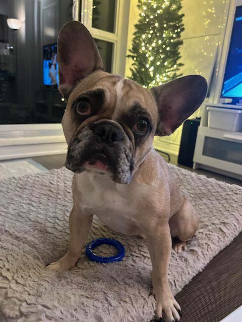 Photo of Benjamin