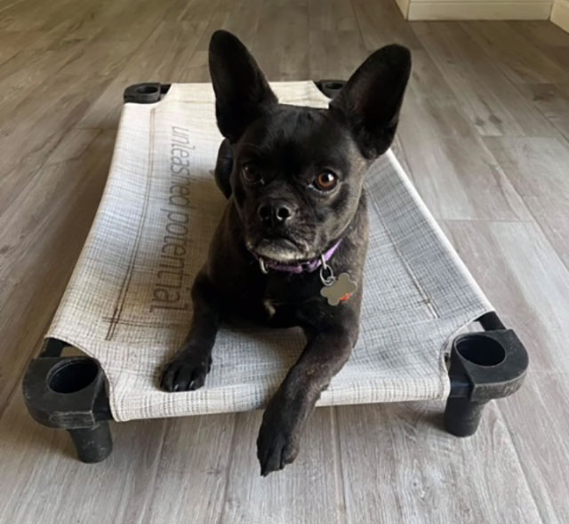 Photo of Gemma